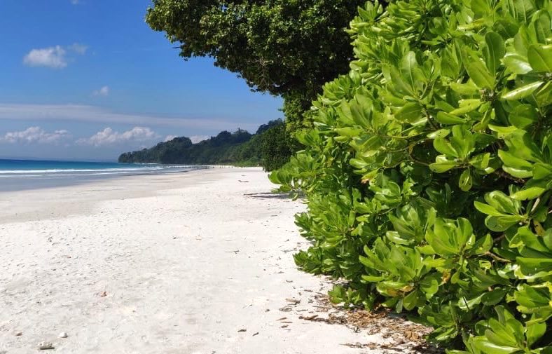 A Quick Guide of Havelock Island: Places to Visit